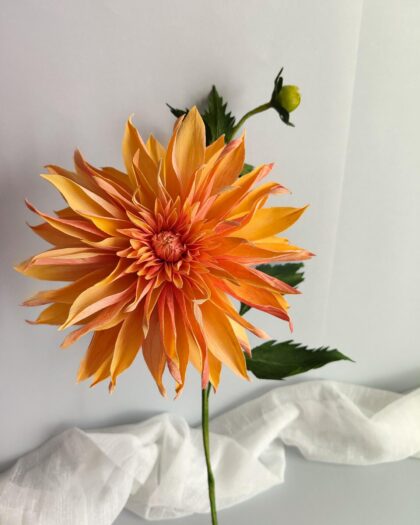 Lustre floral suspendu, Dahlias feuille pointu