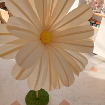 Fleur de cosmos avec socle
