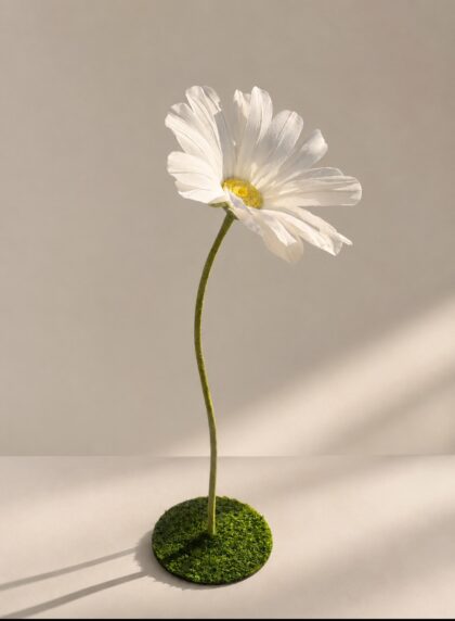 Fleur de marguerite avec socle